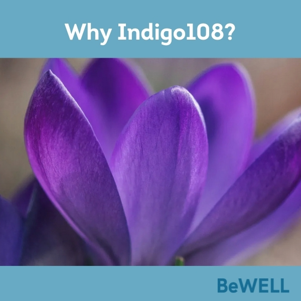 Promotional image for our blog introducing BeWELL's new wellness initiative, Indigo108. Image reads "Why Indigo108"