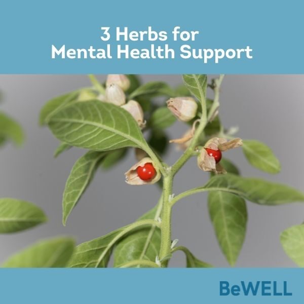 Image of herbs for mental health support.